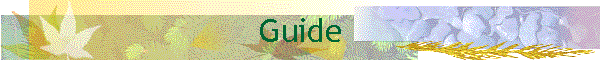 Guide