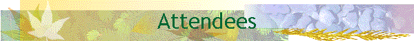Attendees